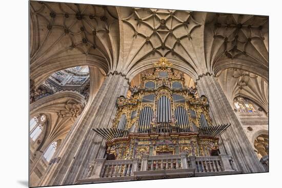 Europe, Spain, Salamanca, Cathedral Organ-Lisa S^ Engelbrecht-Mounted Premium Photographic Print