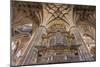 Europe, Spain, Salamanca, Cathedral Organ-Lisa S^ Engelbrecht-Mounted Photographic Print