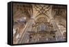 Europe, Spain, Salamanca, Cathedral Organ-Lisa S^ Engelbrecht-Framed Stretched Canvas