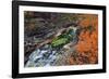 Europe, Sweden,  Abisko National Park, Autumn at the Abisko Canyon-Bernd Rommelt-Framed Photographic Print