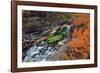 Europe, Sweden,  Abisko National Park, Autumn at the Abisko Canyon-Bernd Rommelt-Framed Photographic Print