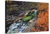Europe, Sweden,  Abisko National Park, Autumn at the Abisko Canyon-Bernd Rommelt-Stretched Canvas
