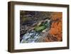 Europe, Sweden,  Abisko National Park, Autumn at the Abisko Canyon-Bernd Rommelt-Framed Photographic Print