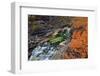 Europe, Sweden,  Abisko National Park, Autumn at the Abisko Canyon-Bernd Rommelt-Framed Photographic Print