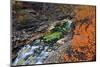 Europe, Sweden,  Abisko National Park, Autumn at the Abisko Canyon-Bernd Rommelt-Mounted Photographic Print