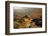 Europe, Sweden,  Kärkevagge, Valley-Bernd Rommelt-Framed Photographic Print