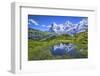 Europe, Switzerland, Bern, Bernese Oberland, Reflection in pond with eiger-Christian Heeb-Framed Photographic Print