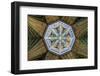 Europe, United Kingdom, England, Cambridgeshire, Ely, Ely Cathedral-Mark Sykes-Framed Photographic Print