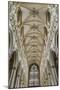 Europe, United Kingdom, England, East Yorkshire, Beverley, Beverley Minster-Mark Sykes-Mounted Photographic Print