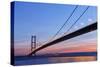 Europe, United Kingdom, England, East Yorkshire, Hull, Humber Bridge-Mark Sykes-Stretched Canvas