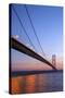 Europe, United Kingdom, England, East Yorkshire, Hull, Humber Bridge-Mark Sykes-Stretched Canvas