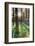 Europe, United Kingdom, England, Hertfordshire, Berkhamsted, Ashridge Estate, Dockey Wood-Alex Robinson-Framed Photographic Print