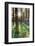 Europe, United Kingdom, England, Hertfordshire, Berkhamsted, Ashridge Estate, Dockey Wood-Alex Robinson-Framed Photographic Print