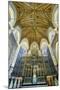 Europe, United Kingdom, England, Lancashire, Lancaster, Lancaster Cathedral-Mark Sykes-Mounted Photographic Print