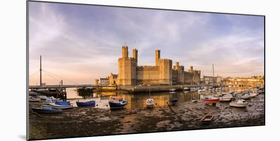 Europe, United Kingdom, Wales, Caernarfon Castle-Mark Sykes-Mounted Photographic Print