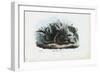 European Adder, 1863-79-Raimundo Petraroja-Framed Giclee Print