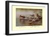 European and American Teal Duck-Allan Brooks-Framed Art Print