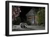 European Badger (Meles Meles) Feeding on Food Left Out in Urban Garden, Kent, UK, May-Terry Whittaker-Framed Photographic Print