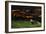 European Badger (Meles Meles) on the North Downs Above Folkestone. Kent, UK, June-Terry Whittaker-Framed Photographic Print