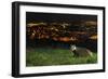 European Badger (Meles Meles) on the North Downs Above Folkestone. Kent, UK, June-Terry Whittaker-Framed Photographic Print