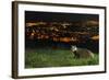 European Badger (Meles Meles) on the North Downs Above Folkestone. Kent, UK, June-Terry Whittaker-Framed Photographic Print