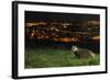 European Badger (Meles Meles) on the North Downs Above Folkestone. Kent, UK, June-Terry Whittaker-Framed Photographic Print