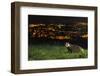 European Badger (Meles Meles) on the North Downs Above Folkestone. Kent, UK, June-Terry Whittaker-Framed Photographic Print