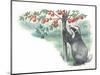 European Badger Meles Meles Picking Fruit from Tree-null-Mounted Giclee Print