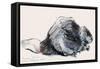 European Beaver (Study) 2001-Mark Adlington-Framed Stretched Canvas