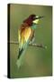 European Bee-Eater-null-Stretched Canvas