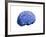 European Brain, Conceptual Artwork-null-Framed Photographic Print