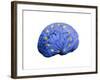 European Brain, Conceptual Artwork-null-Framed Photographic Print
