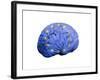 European Brain, Conceptual Artwork-null-Framed Photographic Print