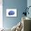 European Brain, Conceptual Artwork-null-Mounted Photographic Print displayed on a wall