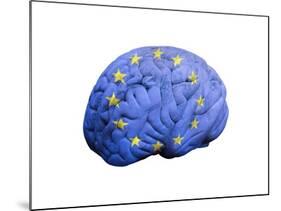 European Brain, Conceptual Artwork-null-Mounted Photographic Print