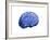 European Brain, Conceptual Artwork-null-Framed Photographic Print