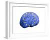 European Brain, Conceptual Artwork-null-Framed Photographic Print