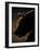 European Brown Bear (Ursos Arctos) Backlit by Sun, Kuhmo, Finland, July 2009 Wwe Book-Cairns-Framed Photographic Print