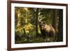 European brown bear (Ursus arctos), Notranjska forest, Slovenia-Sergio Pitamitz-Framed Photographic Print