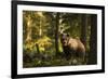 European brown bear (Ursus arctos), Notranjska forest, Slovenia-Sergio Pitamitz-Framed Photographic Print