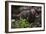 European brown bear (Ursus arctos), Slovenia, Europe-Sergio Pitamitz-Framed Photographic Print