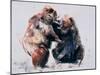 European Brown Bears, 2001-Mark Adlington-Mounted Giclee Print