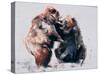 European Brown Bears, 2001-Mark Adlington-Stretched Canvas