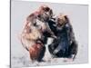 European Brown Bears, 2001-Mark Adlington-Stretched Canvas