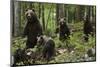 European brown bears (Ursus arctos) and cubs, Slovenia, Europe-Sergio Pitamitz-Mounted Photographic Print