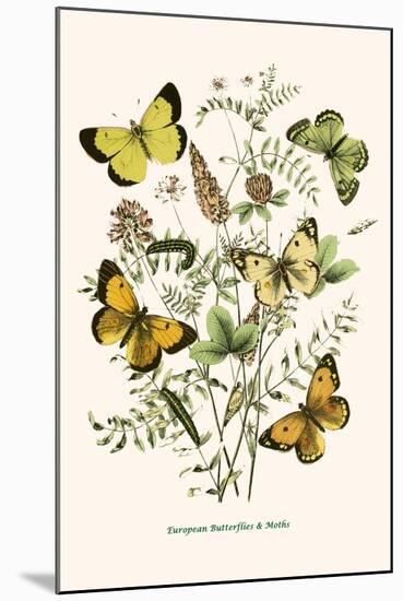 European Butterflies and Moths-W.F. Kirby-Mounted Art Print