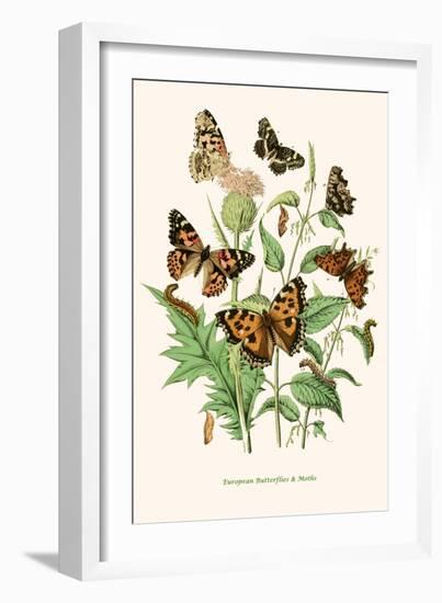 European Butterflies and Moths-W.F. Kirby-Framed Art Print