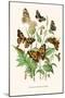 European Butterflies and Moths-W.F. Kirby-Mounted Art Print