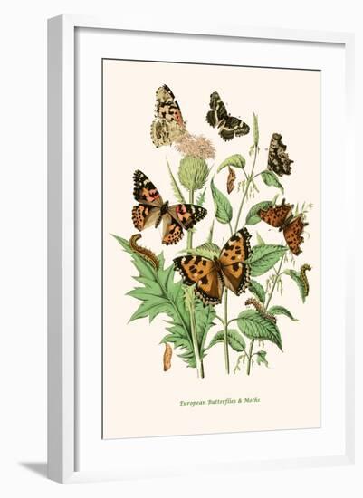 European Butterflies and Moths-W.F. Kirby-Framed Art Print