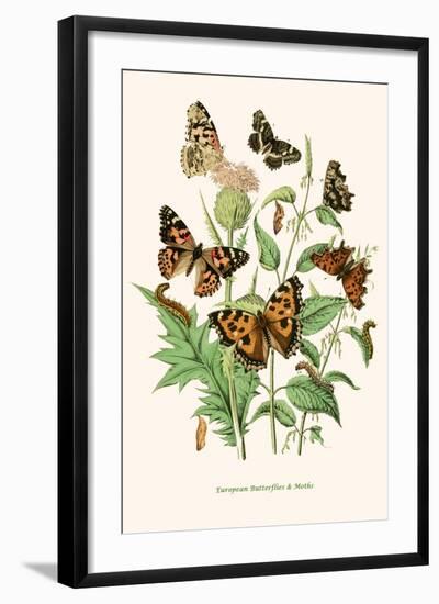 European Butterflies and Moths-W.F. Kirby-Framed Art Print